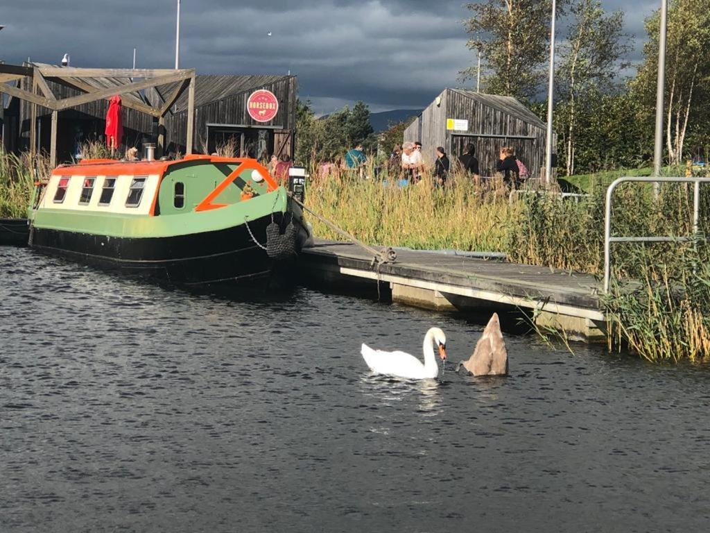 New 2022! Fixed Stay Characterful Narrowboat At The Kelpies, Marigold Sunset Фалькирк Экстерьер фото